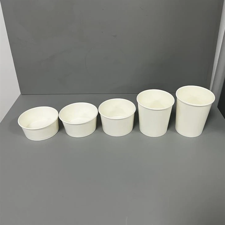 White Ice Cream Cup